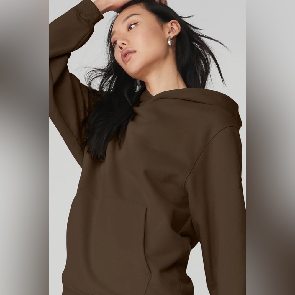 NEW ALO Yoga Renown Heavy Weight  Hoodie in Espresso Brown | size M - Picture 4 of 8
